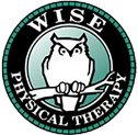 Wise Physical Therapy Anchorage
